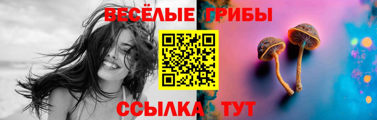 Псилоцибиновые грибы Magic Shrooms  Вход с VPN  Анжеро-Судженск 