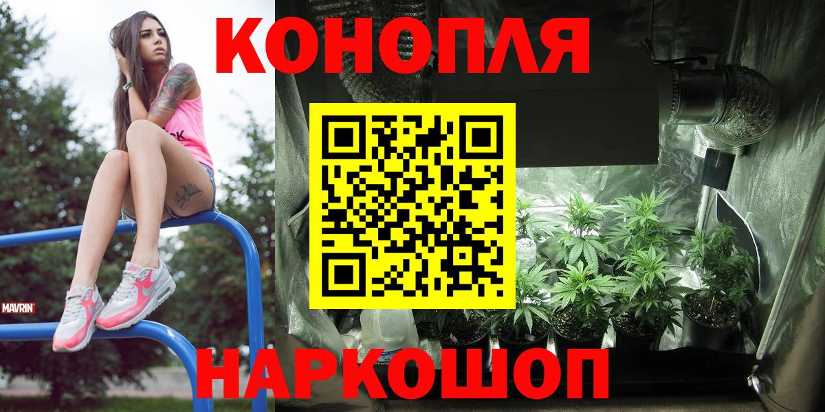 Бошки марихуана семена  Вход с VPN  Анжеро-Судженск  Бошки Шишки сатива  МАРИХУАНА ГИДРОПОН  Марихуана OG Kush 